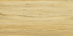 02_file_02.jpg