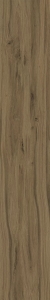 03_file_03.jpg